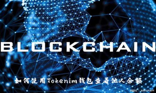 如何使用Tokenim钱包查看他人余额
