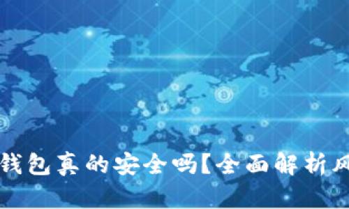区块链数字钱包真的安全吗？全面解析风险与安全性