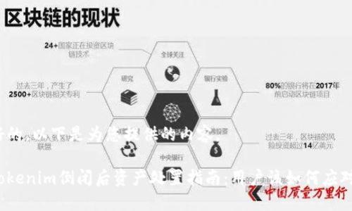 好的，以下是为您提供的内容。

Tokenim倒闭后资产处置指南：用户该如何应对？