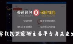 国际数字钱包互通的主要平台与未来发展趋势