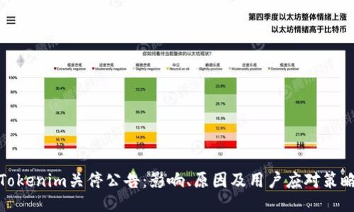 Tokenim关停公告：影响、原因及用户应对策略