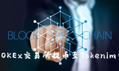 如何将资金从OKEx交易所提币至Tokenim钱包：完整指南