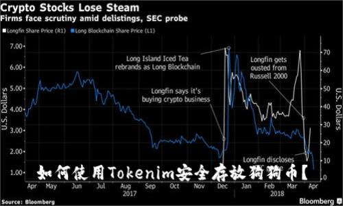如何使用Tokenim安全存放狗狗币？