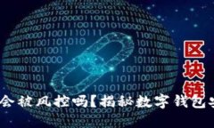 Tokentokenim钱包会被风控吗？揭秘数字钱包安全隐