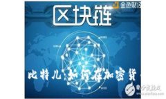 Tokenim交易比特儿：如何在加密货币市场中盈利