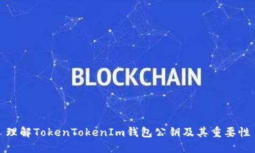 理解TokenTokenIm钱包公钥及其重要性