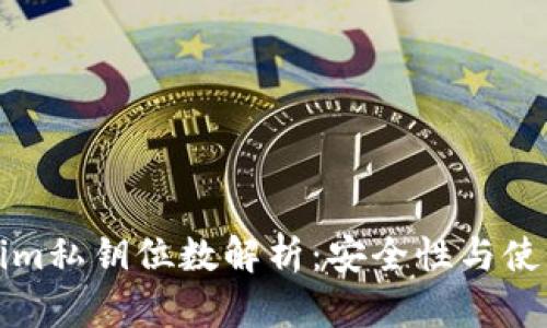 Tokenim私钥位数解析：安全性与使用指南