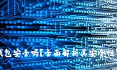 区块链小金库钱包安全吗？全面解析其安全性与