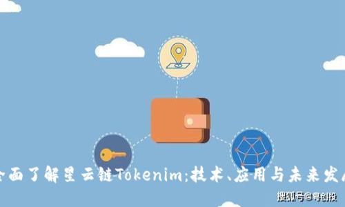 全面了解星云链Tokenim：技术、应用与未来发展